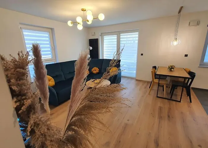 Faktura Vat Przy Filmowce Ogrodek Parking Podziemny Łódź